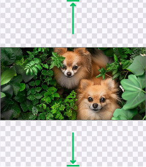 Crop Image