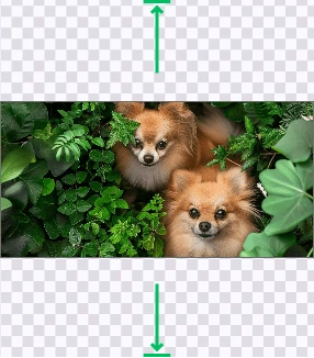Crop Image