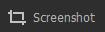 screenshot icon