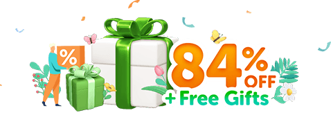 84% OFF